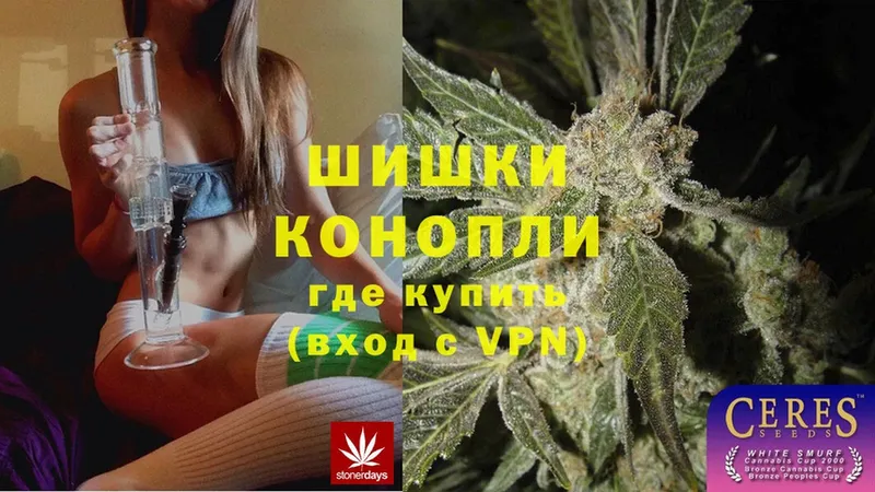 продажа наркотиков  Камызяк  Марихуана THC 21% 